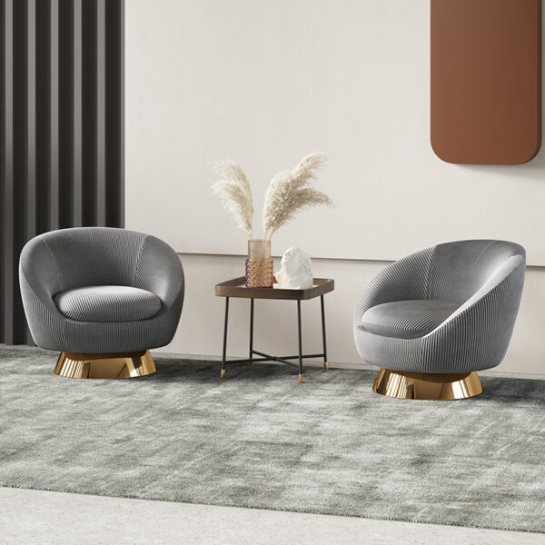 Modern Simple Stainless Steel Design Leisure Chair