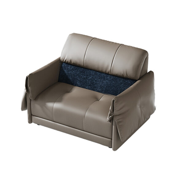 Living room chair sofa bed two-seat combination sofa