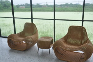 Read more about the article The Prevailing Trends of Sofas in 2024